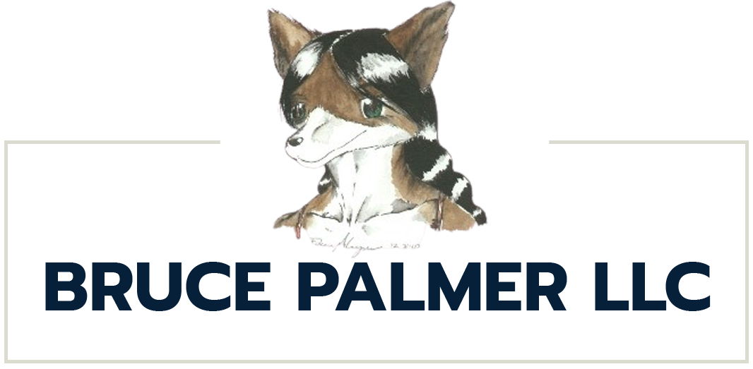 Bruce Palmer LLC Logo